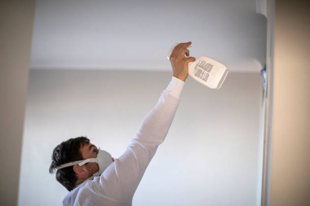 Mold Removal and Inspection in Augusta, WI