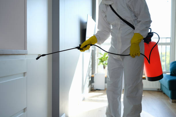 Best Mold Removal Process  in Augusta, WI