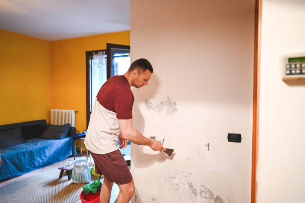Mold Removal Process in Augusta, WI