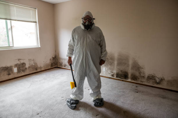 Best Home Mold Removal  in Augusta, WI